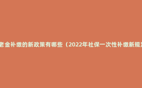 养老金补缴的新政策有哪些（2022年社保一次性补缴新规定）