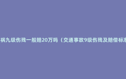 车祸九级伤残一般赔20万吗（交通事故9级伤残及赔偿标准）