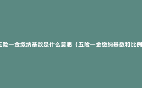 五险一金缴纳基数是什么意思（五险一金缴纳基数和比例）