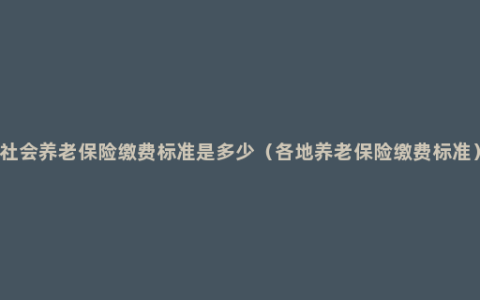 社会养老保险缴费标准是多少（各地养老保险缴费标准）