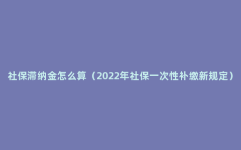 社保滞纳金怎么算（2022年社保一次性补缴新规定）