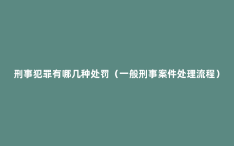 刑事犯罪有哪几种处罚（一般刑事案件处理流程）