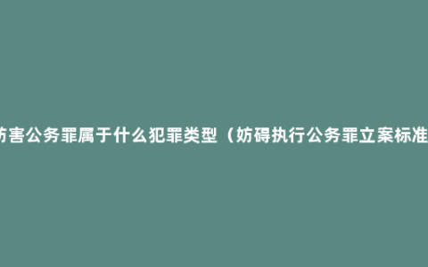 妨害公务罪属于什么犯罪类型（妨碍执行公务罪立案标准）