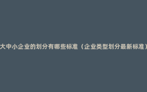 大中小企业的划分有哪些标准（企业类型划分最新标准）