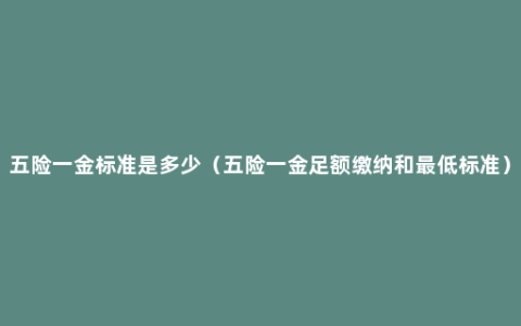 五险一金标准是多少（五险一金足额缴纳和最低标准）