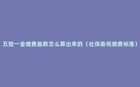 五险一金缴费基数怎么算出来的（社保最低缴费标准）