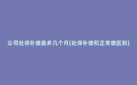 公司社保补缴最多几个月(社保补缴和正常缴区别)