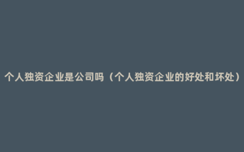 个人独资企业是公司吗（个人独资企业的好处和坏处）