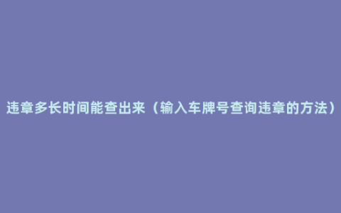 违章多长时间能查出来（输入车牌号查询违章的方法）