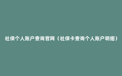 社保个人账户查询官网（社保卡查询个人账户明细）