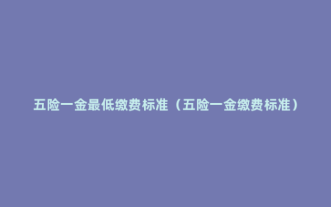 五险一金最低缴费标准（五险一金缴费标准）