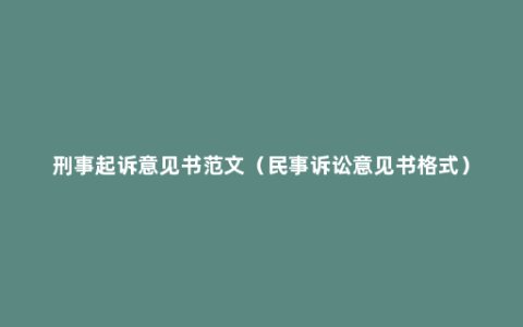 刑事起诉意见书范文（民事诉讼意见书格式）