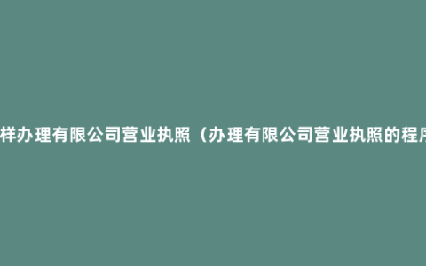 怎样办理有限公司营业执照（办理有限公司营业执照的程序）