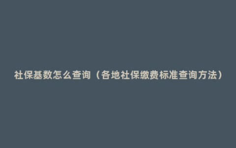 社保基数怎么查询（各地社保缴费标准查询方法）