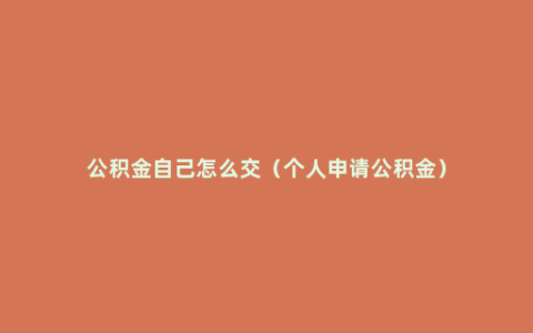 公积金自己怎么交（个人申请公积金）