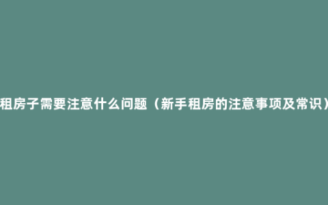 租房子需要注意什么问题（新手租房的注意事项及常识）