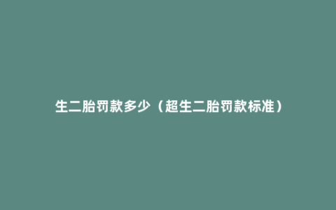 生二胎罚款多少（超生二胎罚款标准）