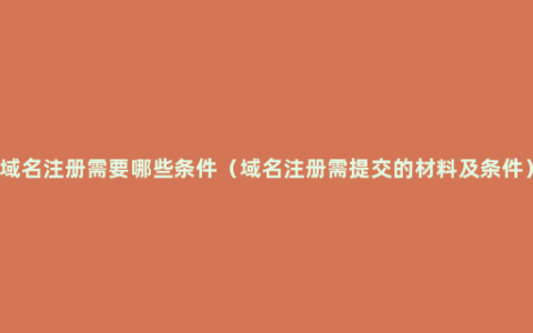 域名注册需要哪些条件（域名注册需提交的材料及条件）