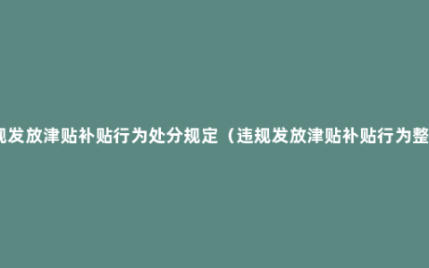 违规发放津贴补贴行为处分规定（违规发放津贴补贴行为整改）