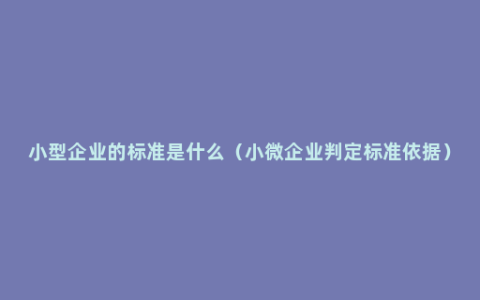 小型企业的标准是什么（小微企业判定标准依据）