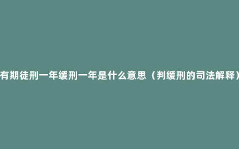 有期徒刑一年缓刑一年是什么意思（判缓刑的司法解释）