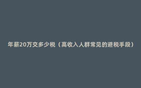 年薪20万交多少税（高收入人群常见的避税手段）