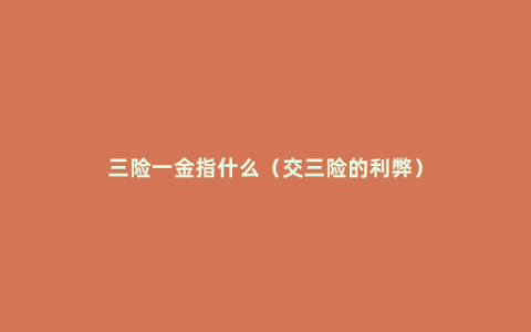 三险一金指什么（交三险的利弊）