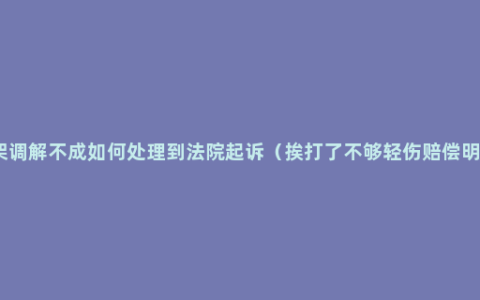 打架调解不成如何处理到法院起诉（挨打了不够轻伤赔偿明细）