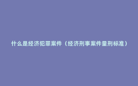 什么是经济犯罪案件（经济刑事案件量刑标准）