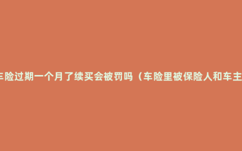 车险过期一个月了续买会被罚吗（车险里被保险人和车主）