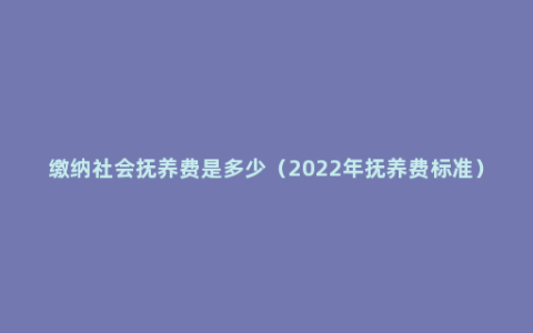 缴纳社会抚养费是多少（2022年抚养费标准）